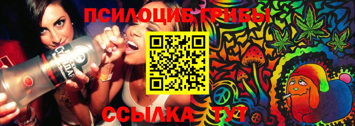 Псилоцибиновые грибы мицелий Псков
