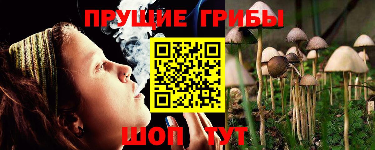 Псилоцибиновые грибы прущие грибы  Вход с VPN  Псков 